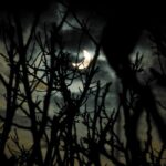 eclissi tommaso lubrano