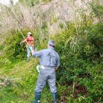 190970 1764356242729 1653815502 1712000 3512165 o