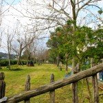 192661 1764426084475 1653815502 1712143 6183255 o e1553010891878