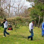 194564 1764420084325 1653815502 1712134 4202139 o