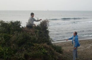 menerio e1458152754555