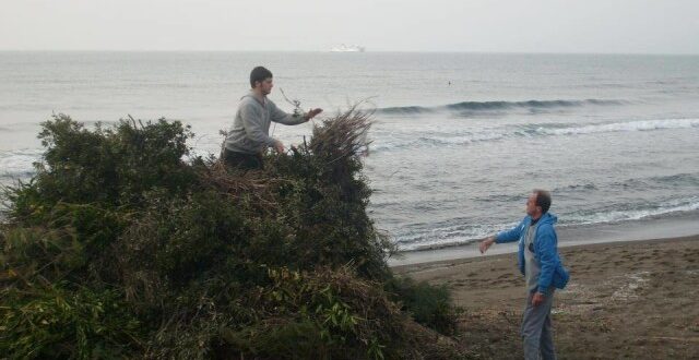 menerio e1458152754555