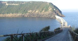 DSCF85511 e1469009618819