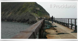 ponte vivara e1459845561280