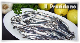 festa alici procida e1469439604562