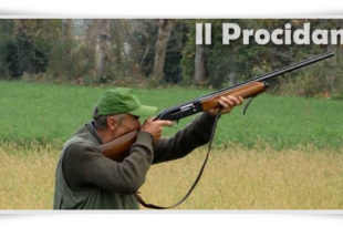 caccia procida e1461595240668