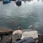 cedaspostare una macchina3