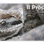 cambio casacca politica