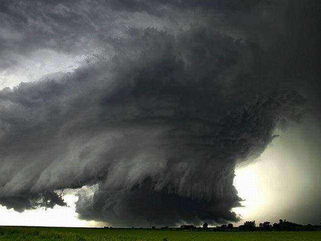 migration duck la natura ribelle di marilena L 11wUww