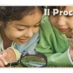 caccia al tesoro procida