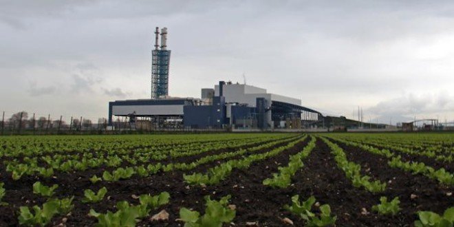 acerra inceneritore11