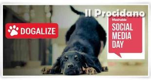 dogalize