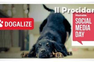 dogalize