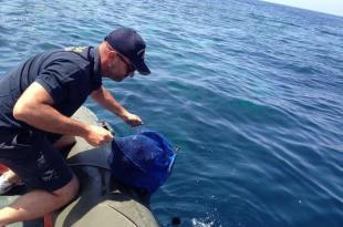 Sequestro ricci Forio