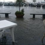 WhatsApp Image 2016 08 11 at 10.13.11