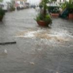 WhatsApp Image 2016 08 11 at 10.13.12