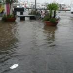 WhatsApp Image 2016 08 11 at 10.13.131