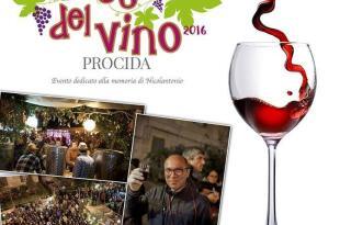 Festa del vino 2016