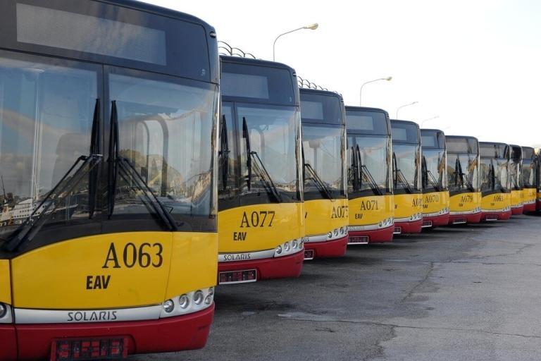 Autobus nuovi Ischia