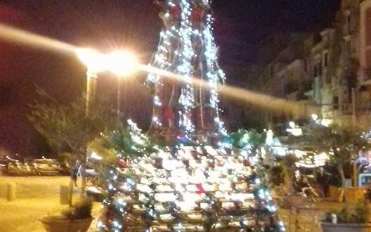 Albero via Roma