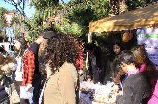 Cuccioli Piazza degli Eroi