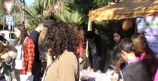 Cuccioli Piazza degli Eroi