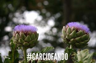 Carciofando