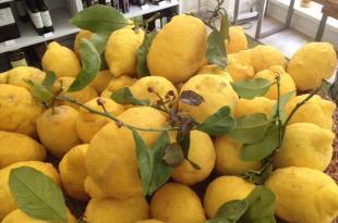 Limone di Procida a Vienna