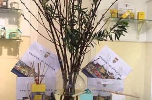 Profumi di procida Pasqua