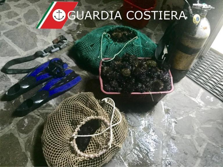 Sequestro ricci Ischia