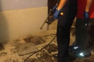 Operazione anti blatte