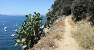 Sentiero Punta Serra