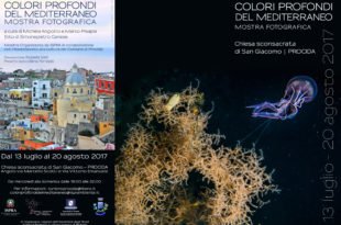 Locandina mostra ISPRA e1499873925258