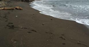 lungomare Chiaiolella 9 novembre 2017