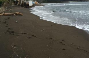 lungomare Chiaiolella 9 novembre 2017