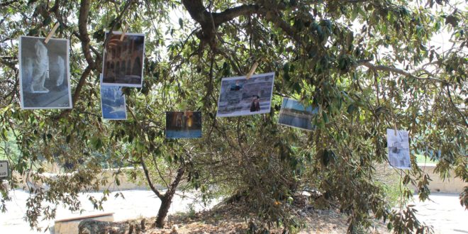 Instameet Sibella e1527589976273