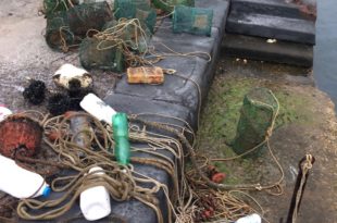 Sequestro nasse Ischia e1528302412278