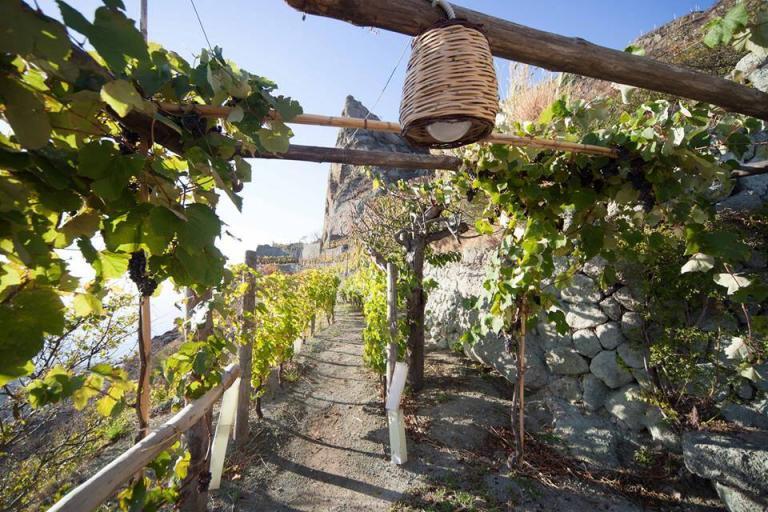 Cantine Ischia