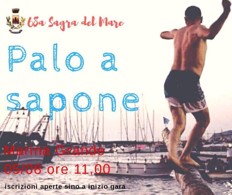 Palo a sapone foto