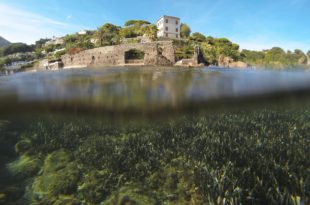 Aenaria e1539880066740