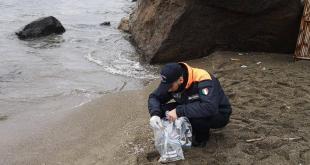 Spiaggiamento crostacei Ischia
