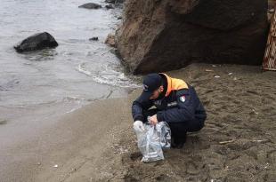 Spiaggiamento crostacei Ischia