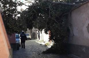 Interventi protezione civile e1551103642982