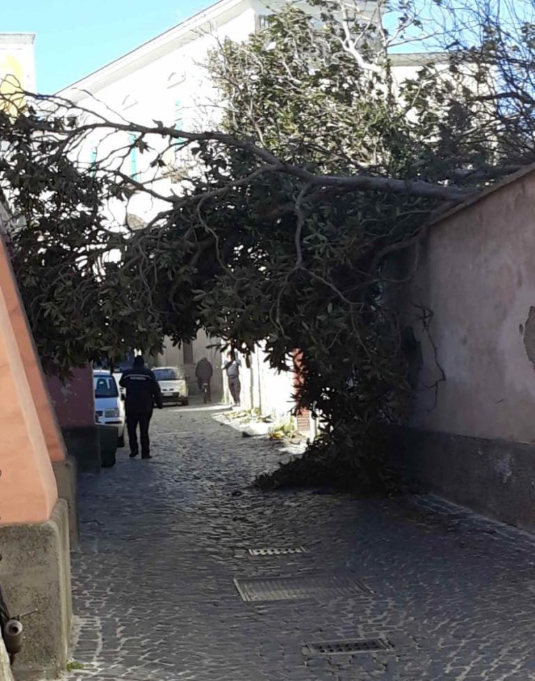 Interventi protezione civile e1551103642982