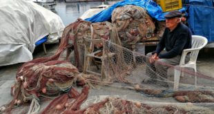 MareXperience e1550164185886