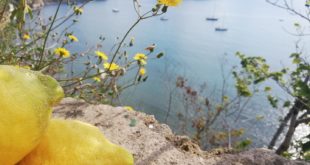 Oro di Napoli e1558764714244