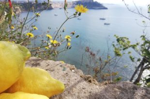 Oro di Napoli e1558764714244