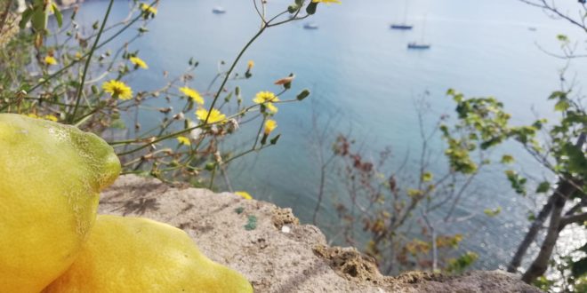 Oro di Napoli e1558764714244