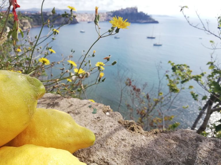 Oro di Napoli e1558764714244
