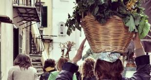 Acala panaro SantAnna